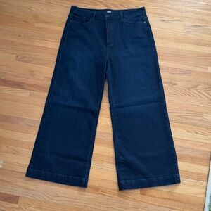 Paige Jeans Anessa - dark blue wash sz 33
